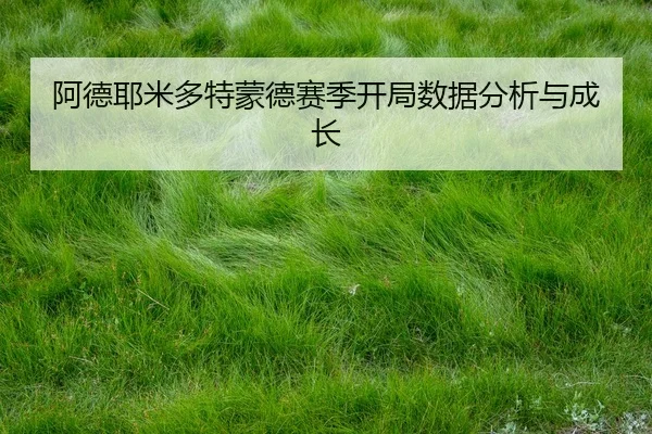 阿德耶米多特蒙德赛季开局数据分析与成长（kaiyunsports）